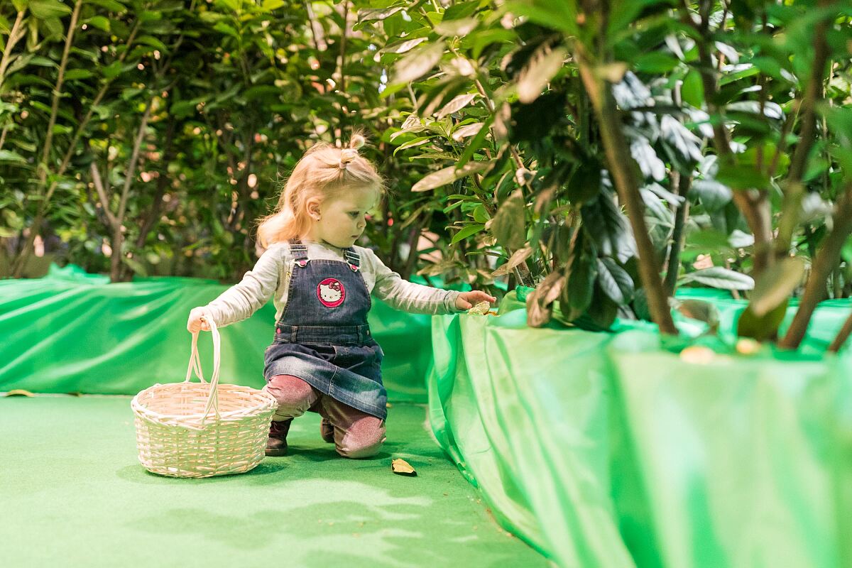 Bild 1_Ostersuche im XL-Labyrinth