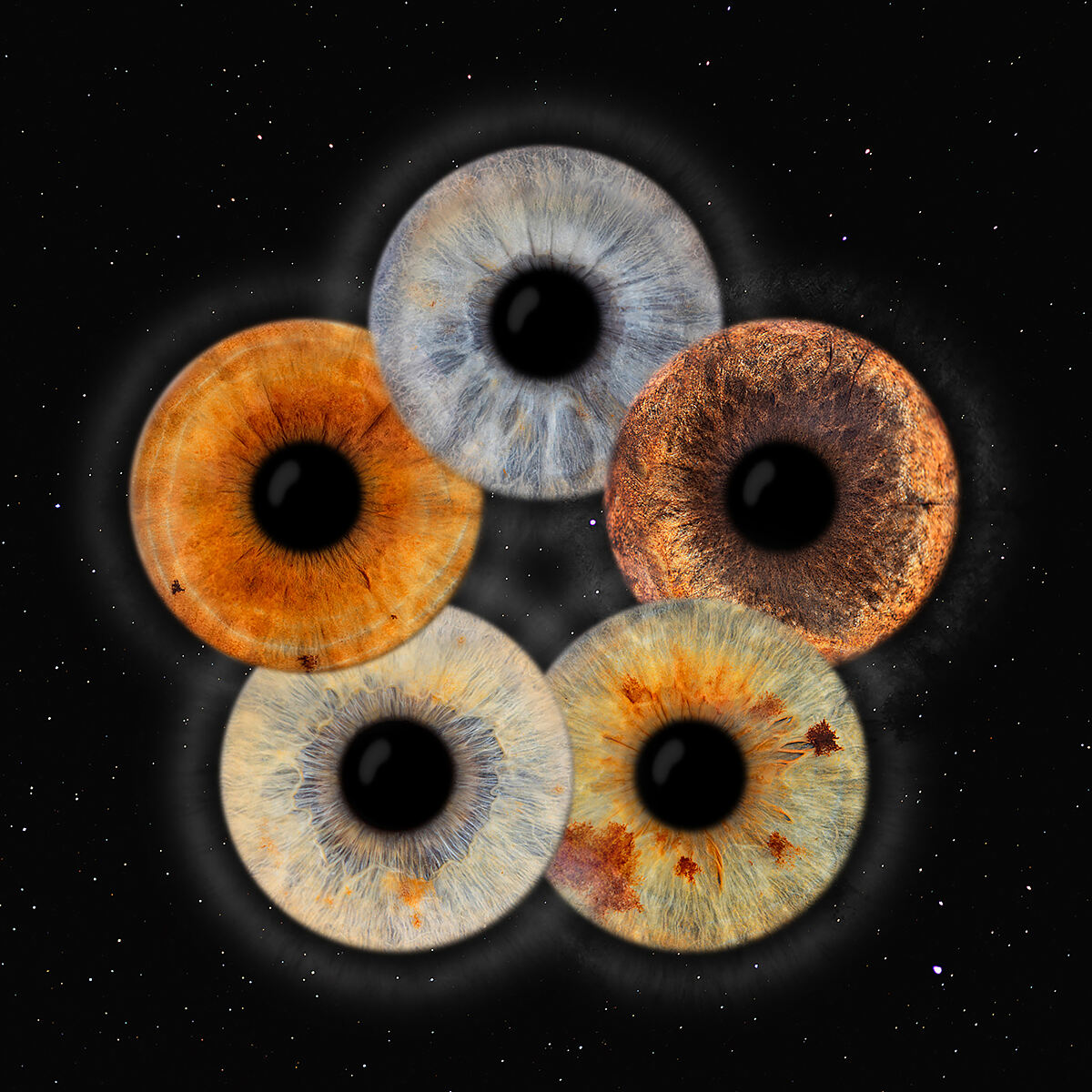 Bild 2_Iris-Fotografie