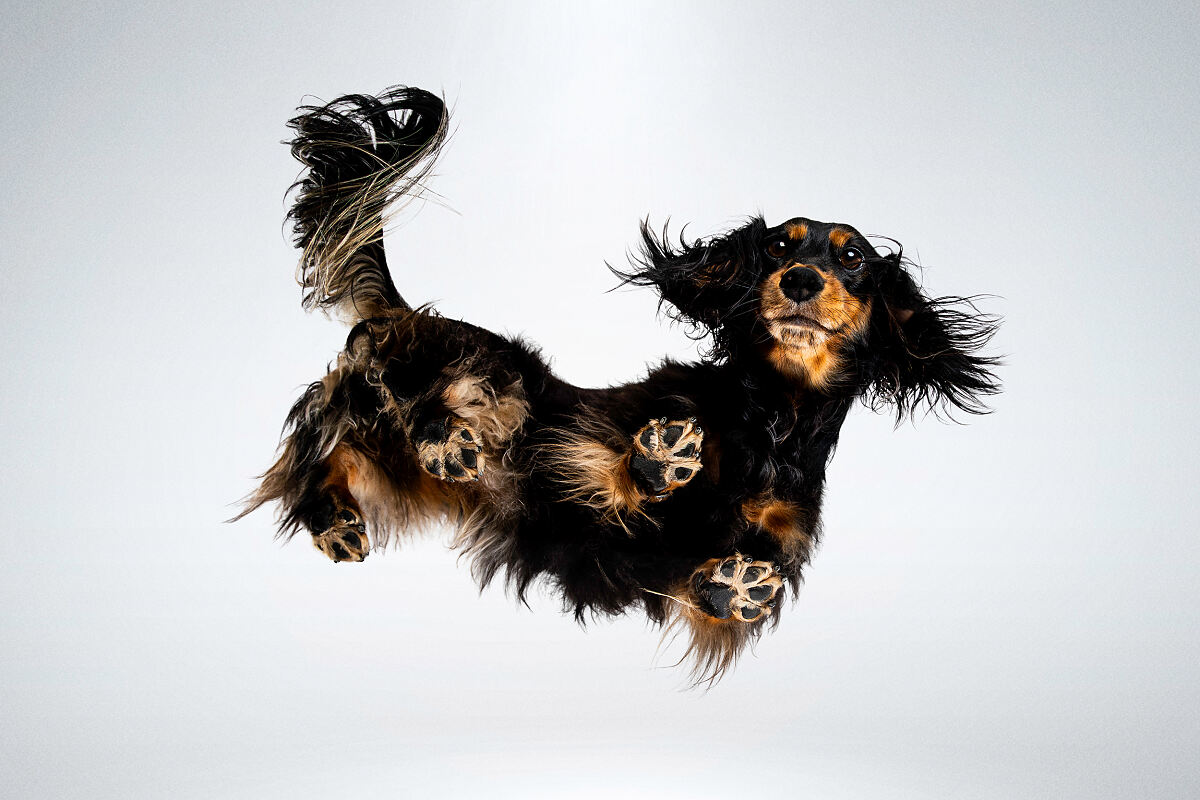 Bild 3_Upside-Down-Fotografie