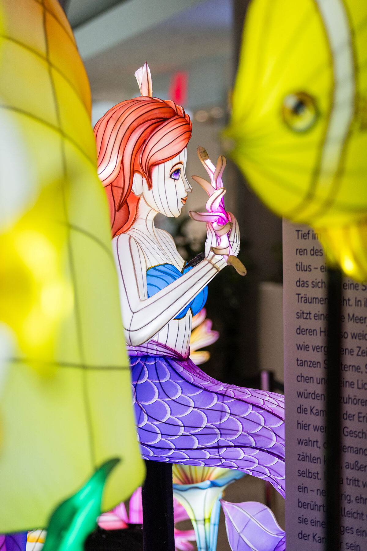Bild 5_Magic Mermaids