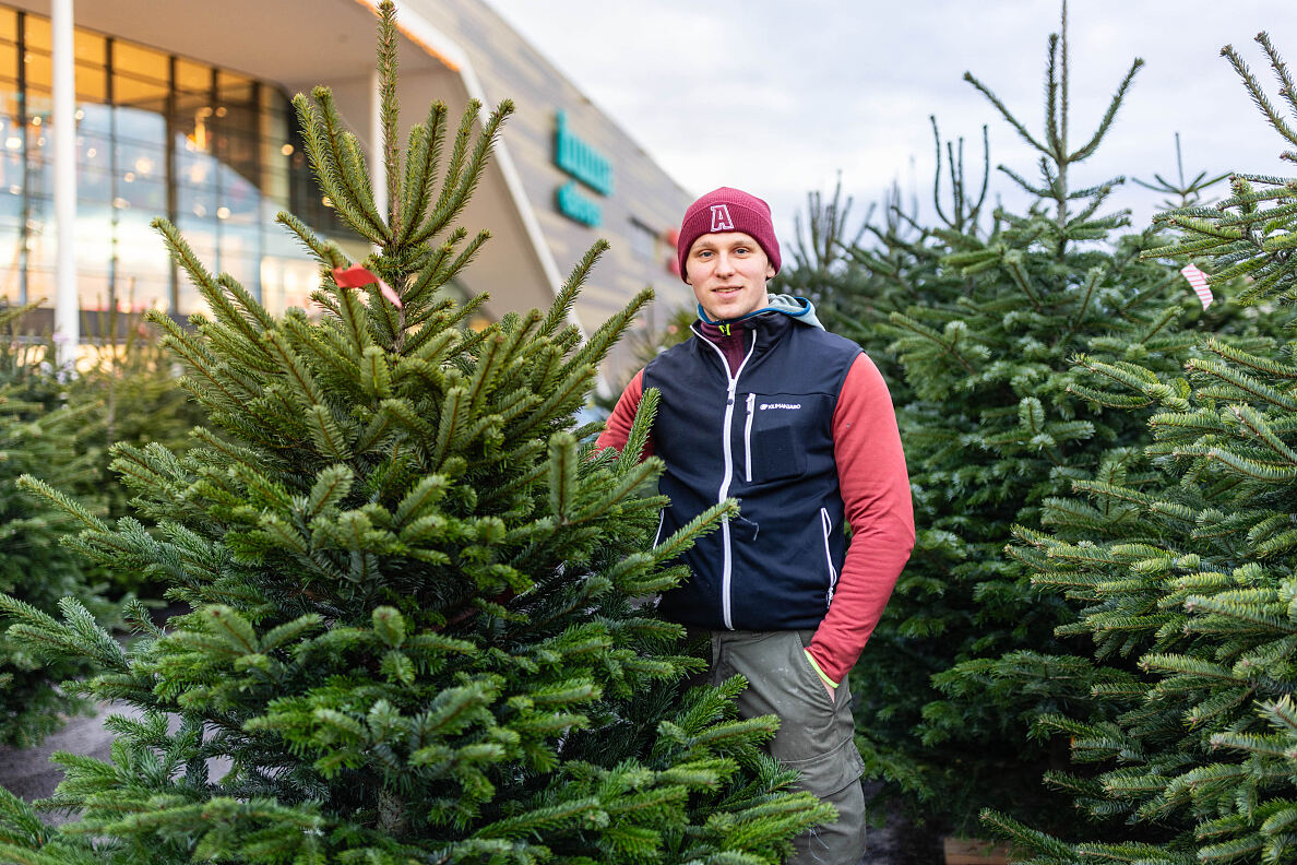 Bild 5_Christbaum-Verkauf