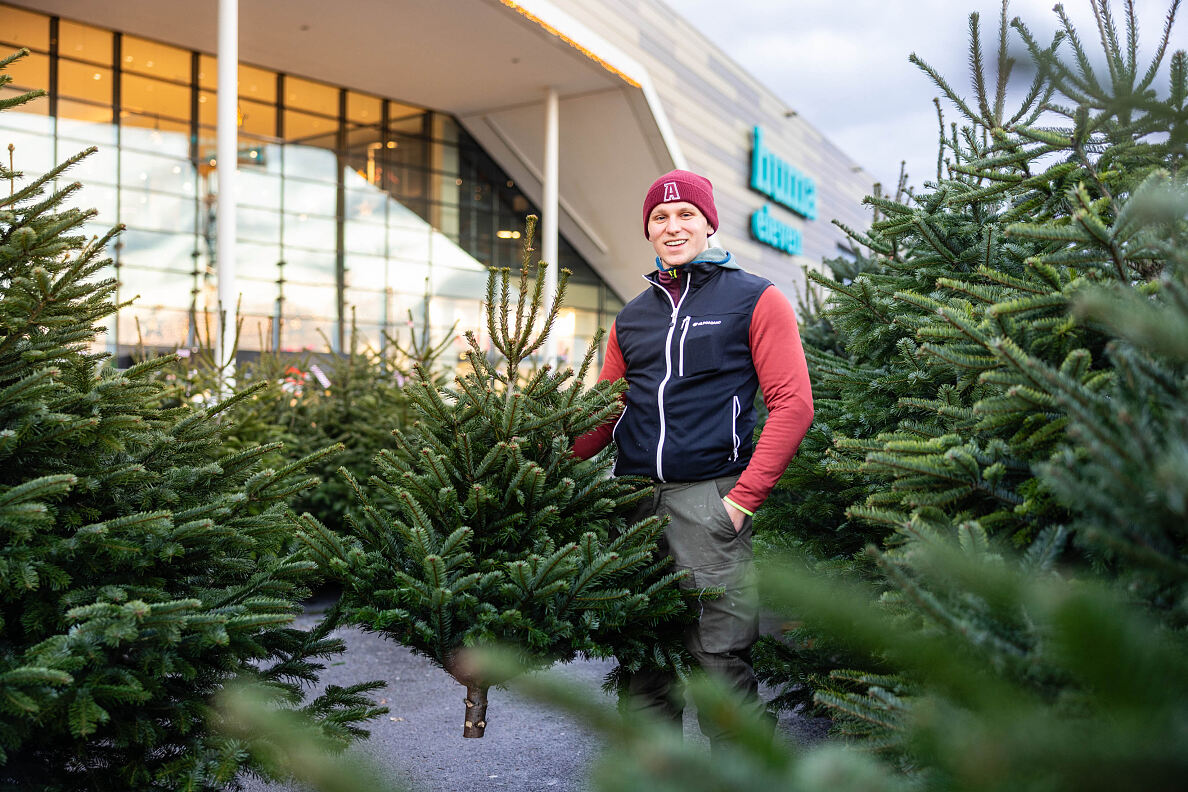 Bild 5_Christbaum-Verkauf