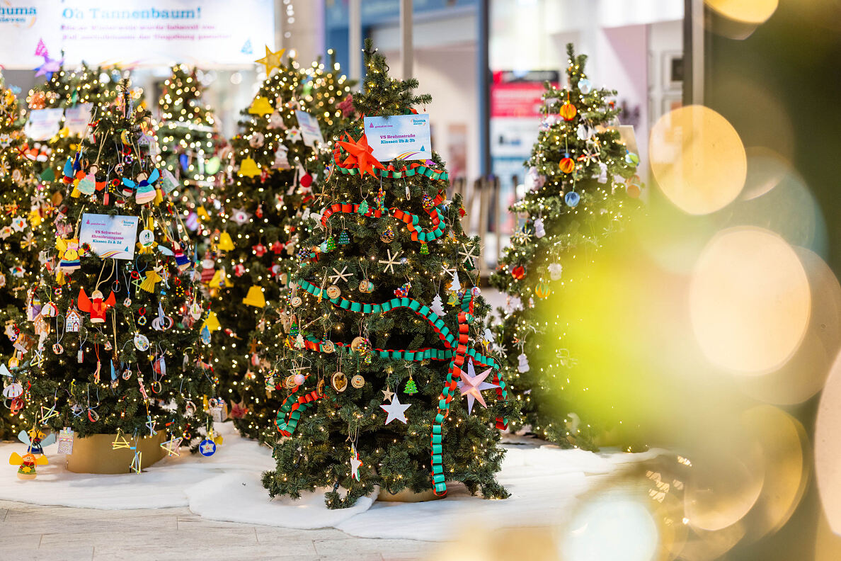 Bild 8_Ausstellung Schulklassen-Christbäume